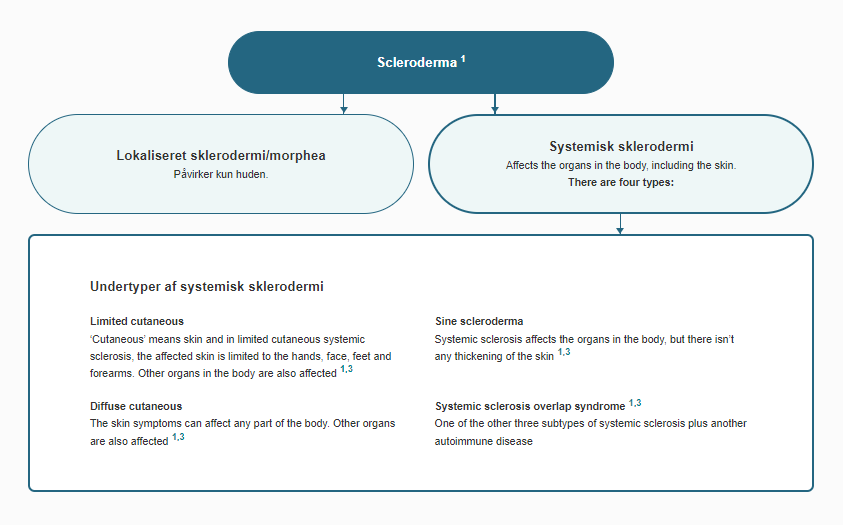 Sygdomsgruppen sklerodermi