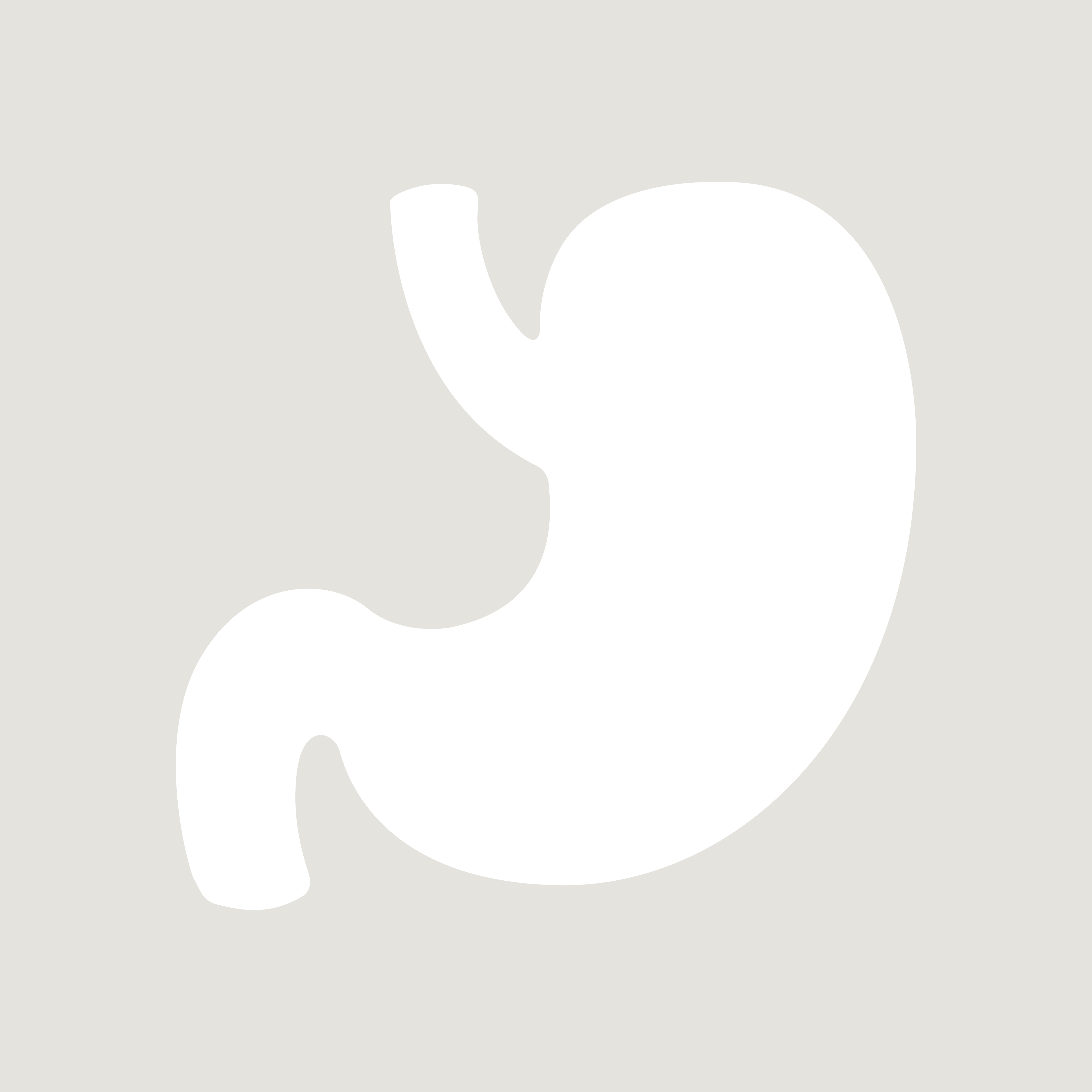 Fordøjelsessystemet