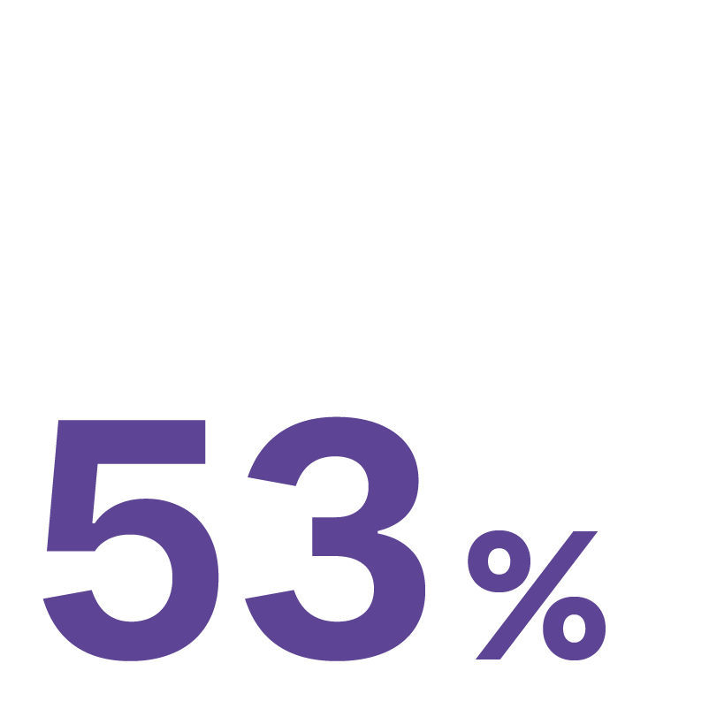 53%